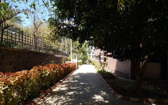 PUMBA Campus photo 4