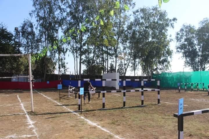 Oriental Group of Institutes Bhopal Events photo 31