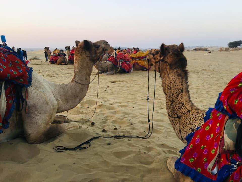 Atharva Institute of Management Studies Mumbai National & International Visits photo 5