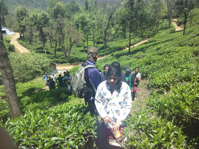 RVS Institute of Management studies Coimbatore College Trip photo 2