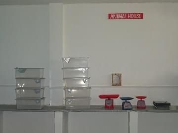 SSSUTMS Infrastructure photo 10