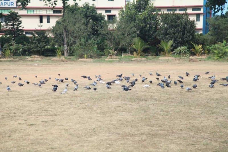 Paramedical College Durgapur Campus photo 10