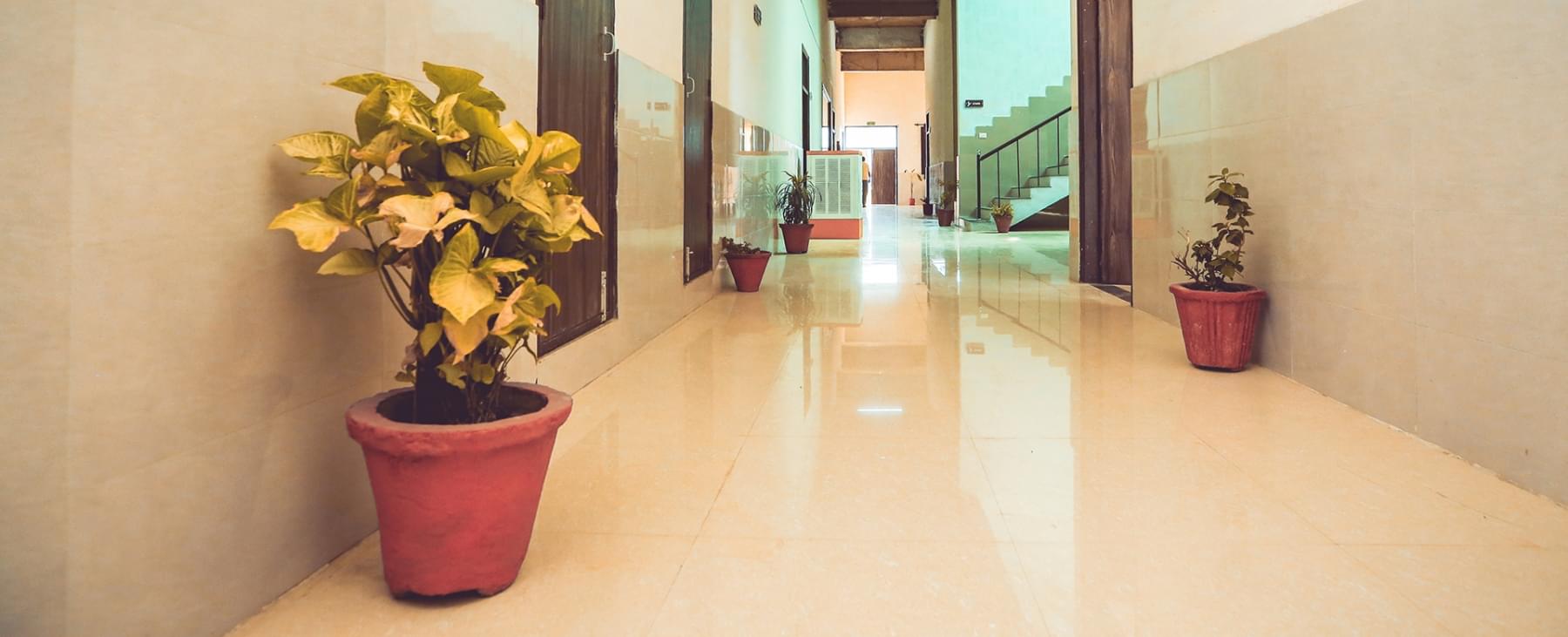 Ambala Institute of Hotel Management Campus photo 9