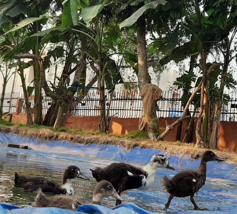 Centre of Agri Management Bhubaneswar Infrastructure photo 6