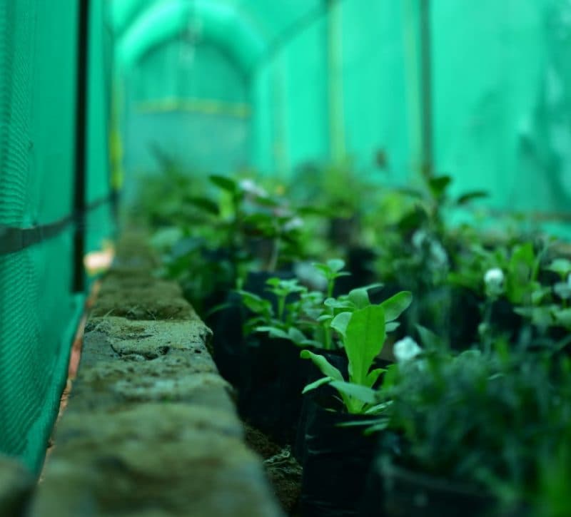 Centre of Agri Management Bhubaneswar Infrastructure photo 8