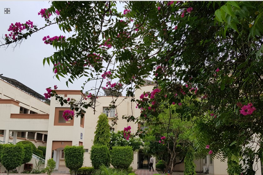 Apeejay Stya University, School of Pharmaceutical Sciences Gurgaon campus photo 2