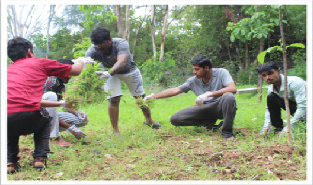 NAARM Extra Curriculars photo 4