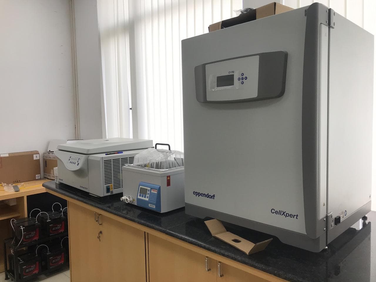 JIS Institute of Advanced Studies and Research Kolkata Campus photo 6