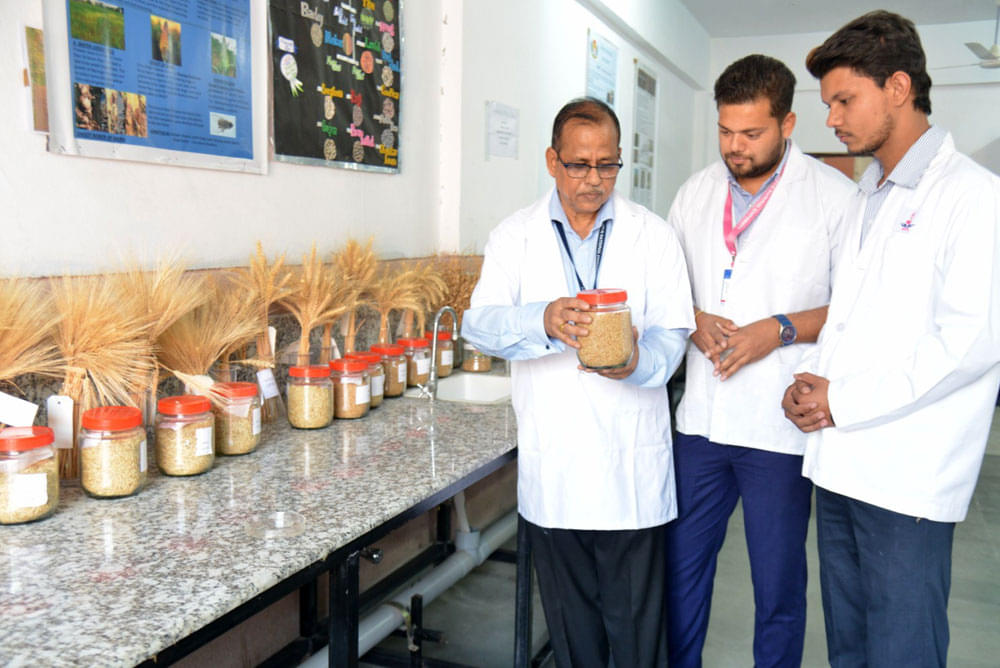Jaipur National University Classroom photo 11