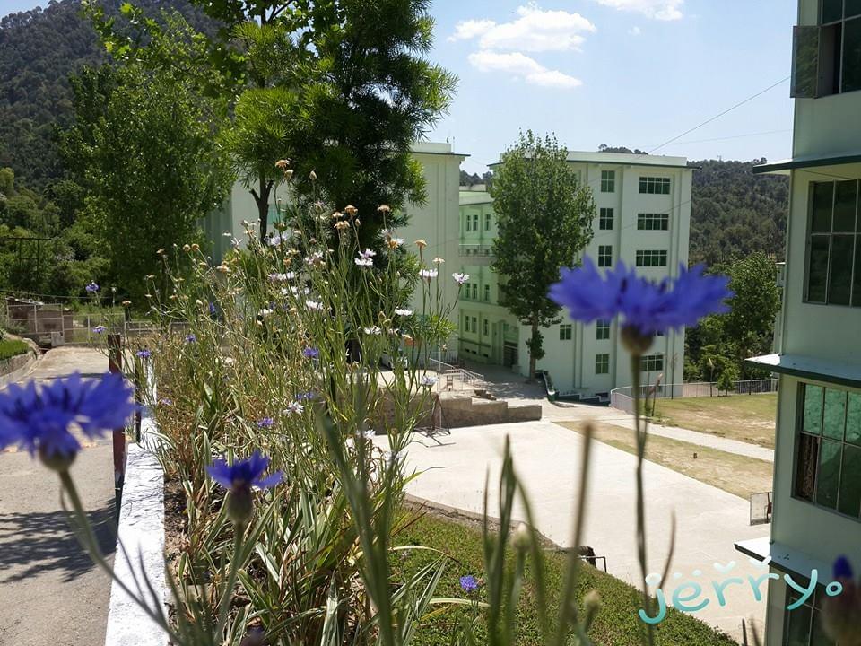 LR Institute of Engineering and Technology Solan Academic Building photo 6