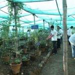 Dr JJ Magdum Ayurvedic Medical College Kolhapur Campus photo 14