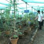 Dr JJ Magdum Ayurvedic Medical College Kolhapur Campus photo 13