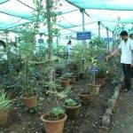 Dr JJ Magdum Ayurvedic Medical College Kolhapur Campus photo 12