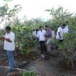 Dr JJ Magdum Ayurvedic Medical College Kolhapur Campus photo 11