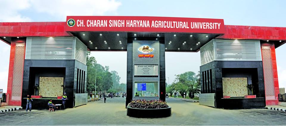 CCSHAU Campus Buildng photo 9