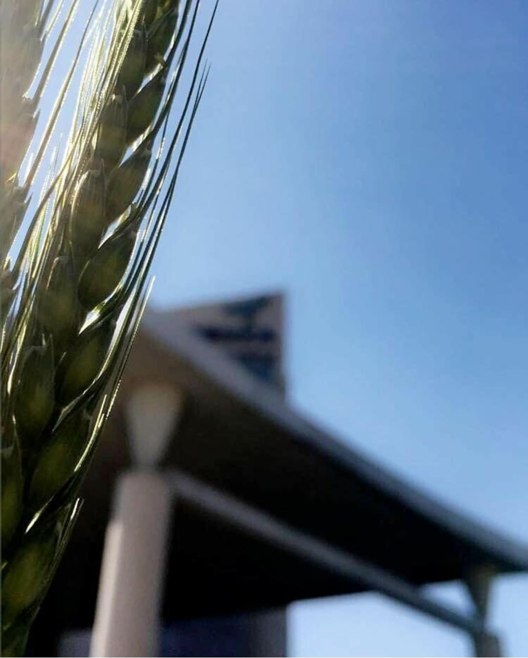 GD Goenka University Gurgaon Academic Building photo 17