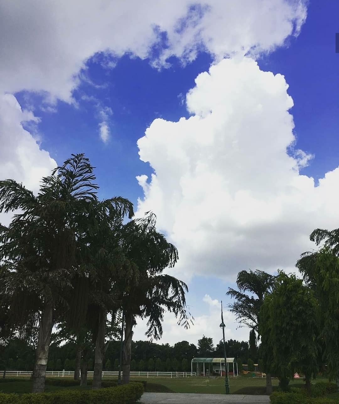 GD Goenka University Gurgaon Academic Building photo 18