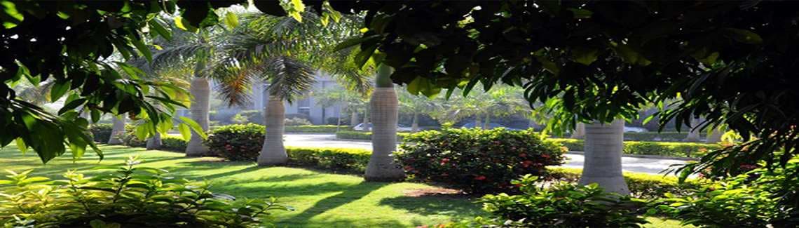 A. D. Patel Institute of Technology Vallabh Vidyanagar Academic Building photo 8