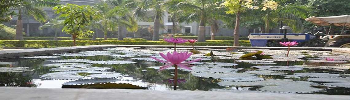 A. D. Patel Institute of Technology Vallabh Vidyanagar Academic Building photo 15