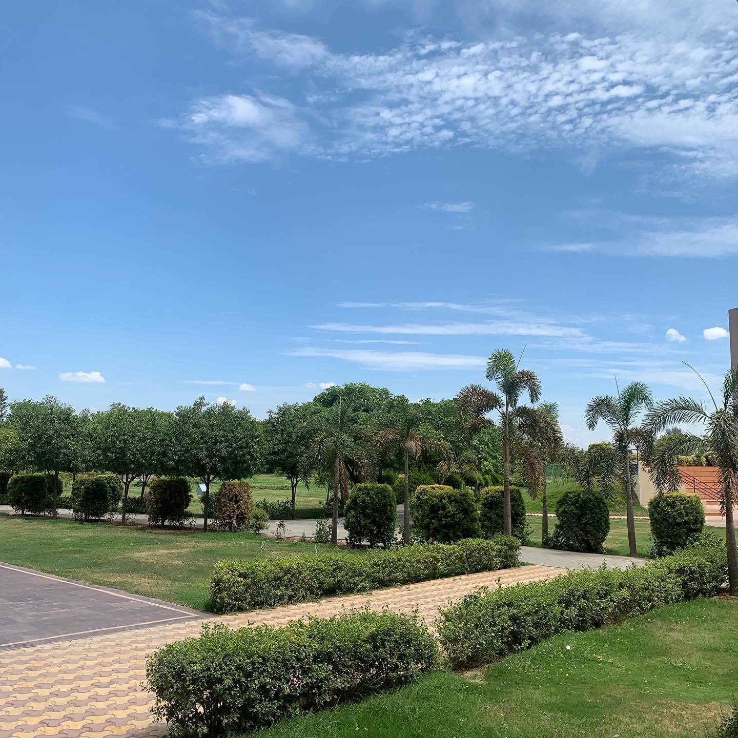 G D Goenka University, School of Management Gurgaon Campus photo 2