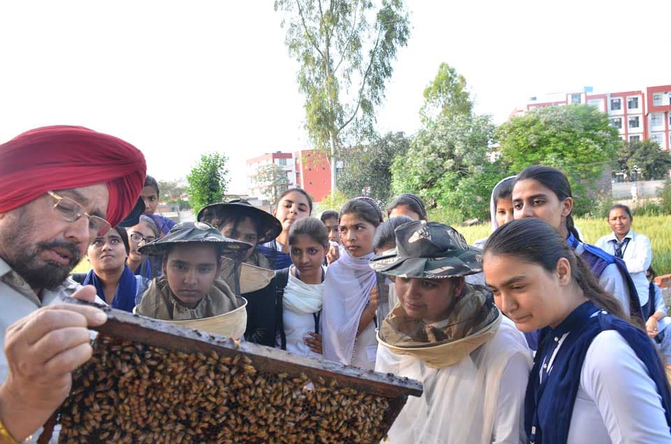 Baba Farid Group of Institutions Bathinda Events photo 5