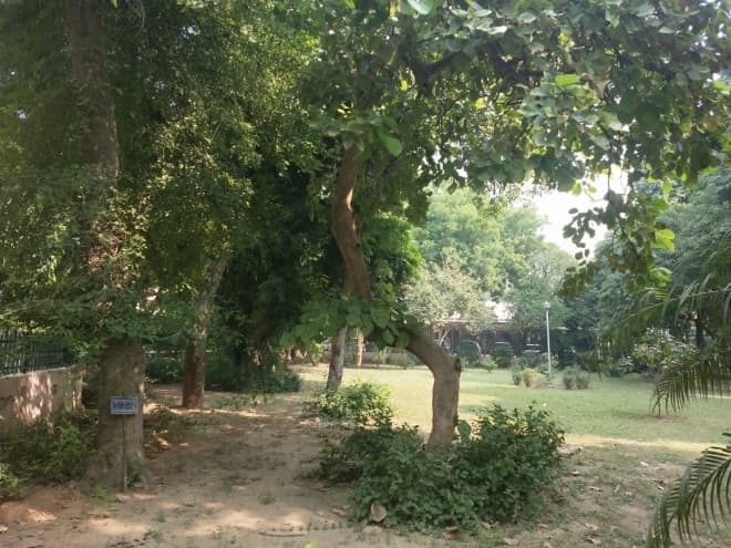 Ayurvedic and Unani Tibbia College Facilities photo 8