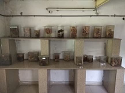 Ayurvedic and Unani Tibbia College Facilities photo 11