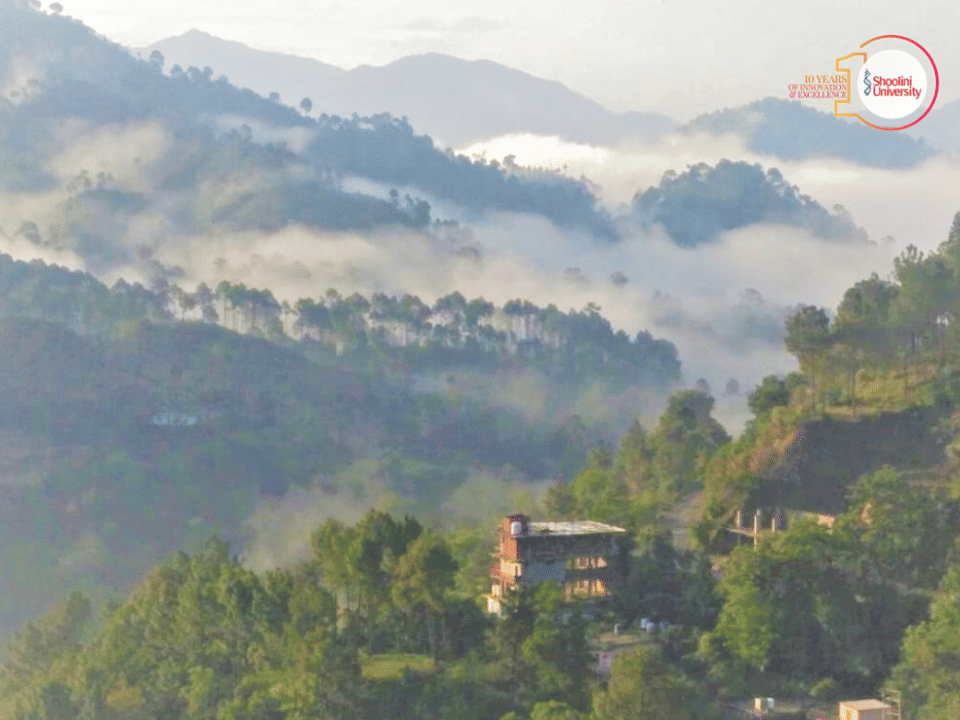 Shoolini University Solan Campus photo 2