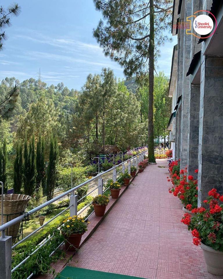 Shoolini University Solan Campus photo 9