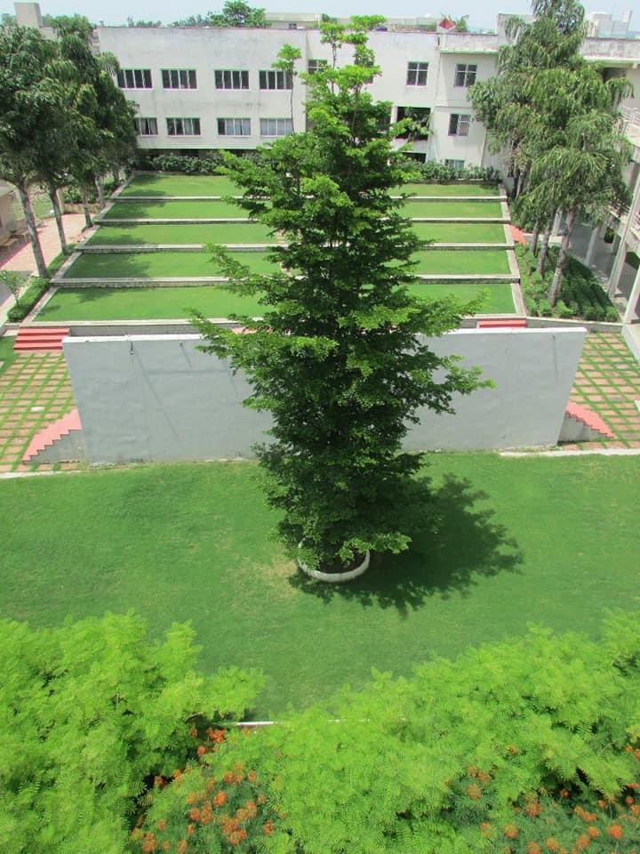 IES University Bhopal Campus photo 10