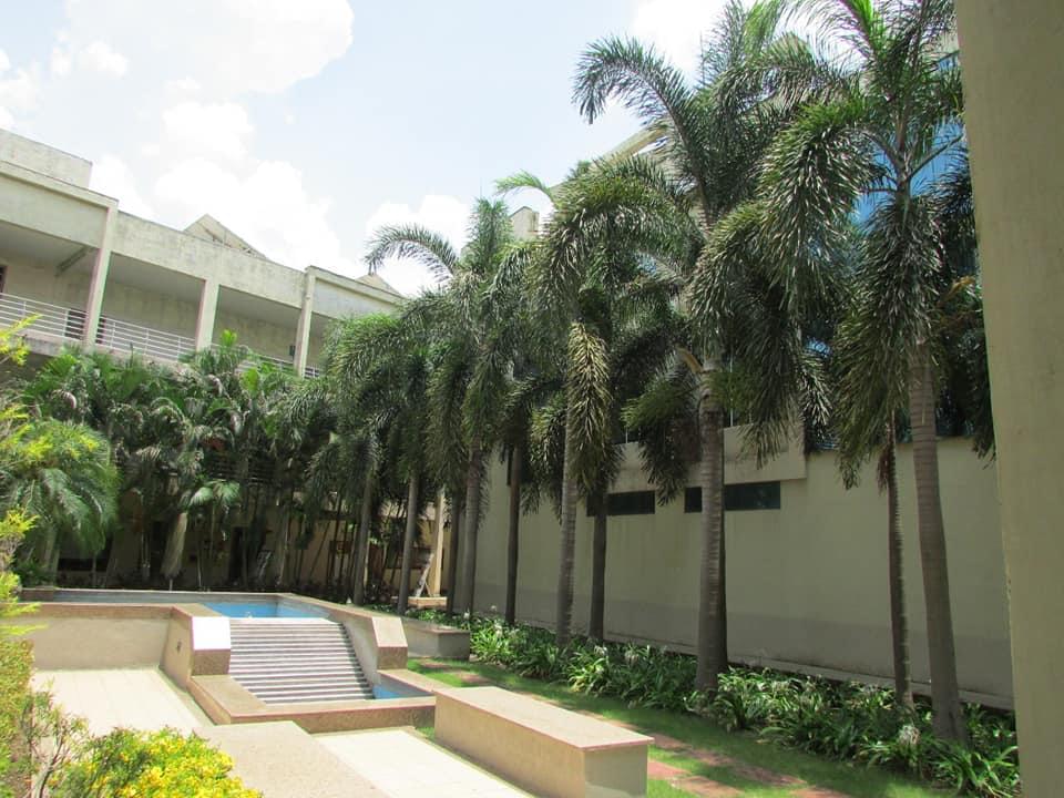 IES University Bhopal Campus photo 11