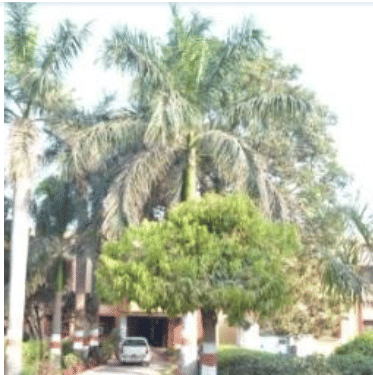 Government Polytechnic Gonda Infrastructure photo 7