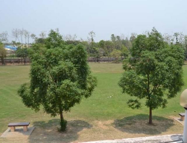 Little Flower Polytechnic Gorakhpur Facilities photo 6