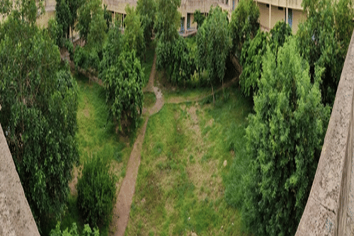 Government Polytechnic College Dholpur photo_app photo 2