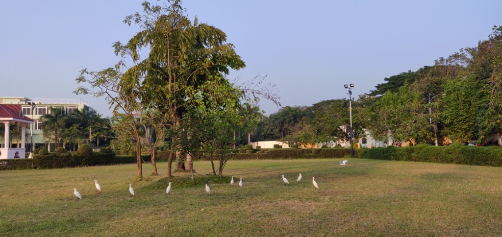 Vishnu Dental College Bhimavaram Campus photo 8