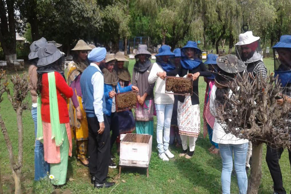 G.H.G. Khalsa College of Pharmacy Ludhiana Course photo 2