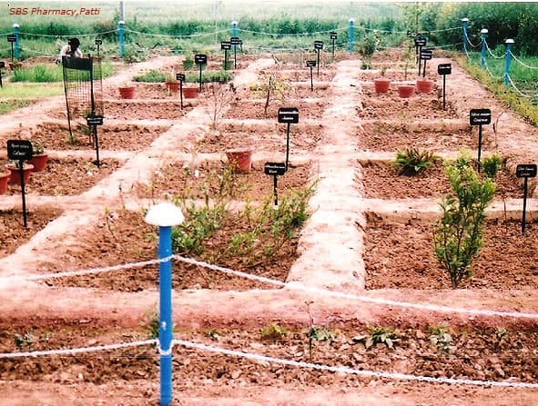 Shaheed Bhagat Singh Polytechnic & Pharmacy College Patti Campus photo 12