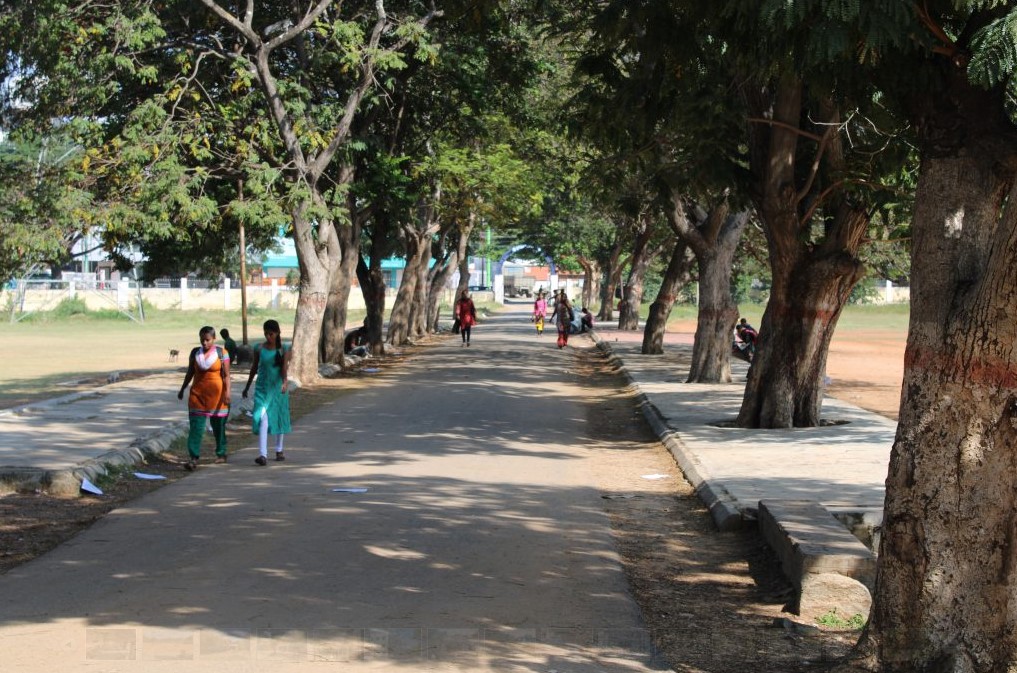 Mandya University Campus photo 1
