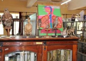 Mandya University Library & Labs photo 4