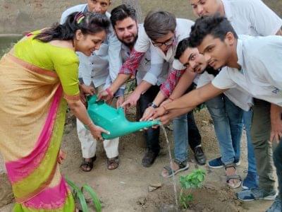 Faculty of Pharmaceutical Sciences, PDM University Bahadurgarh Tree Plantation photo 3