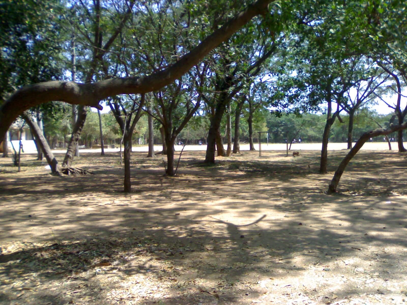 IRT Polytechnic college Chennai photo_app photo 2