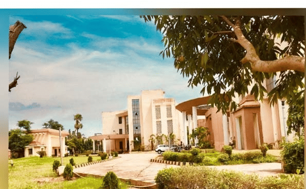 Indian Institute of Tourism and Travel Management Bhubaneswar Campus photo 2