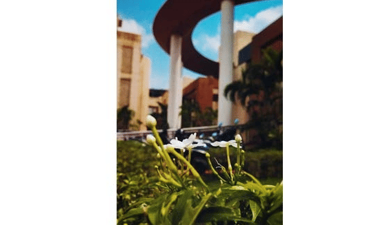 Indian Institute of Tourism and Travel Management Bhubaneswar Campus photo 3