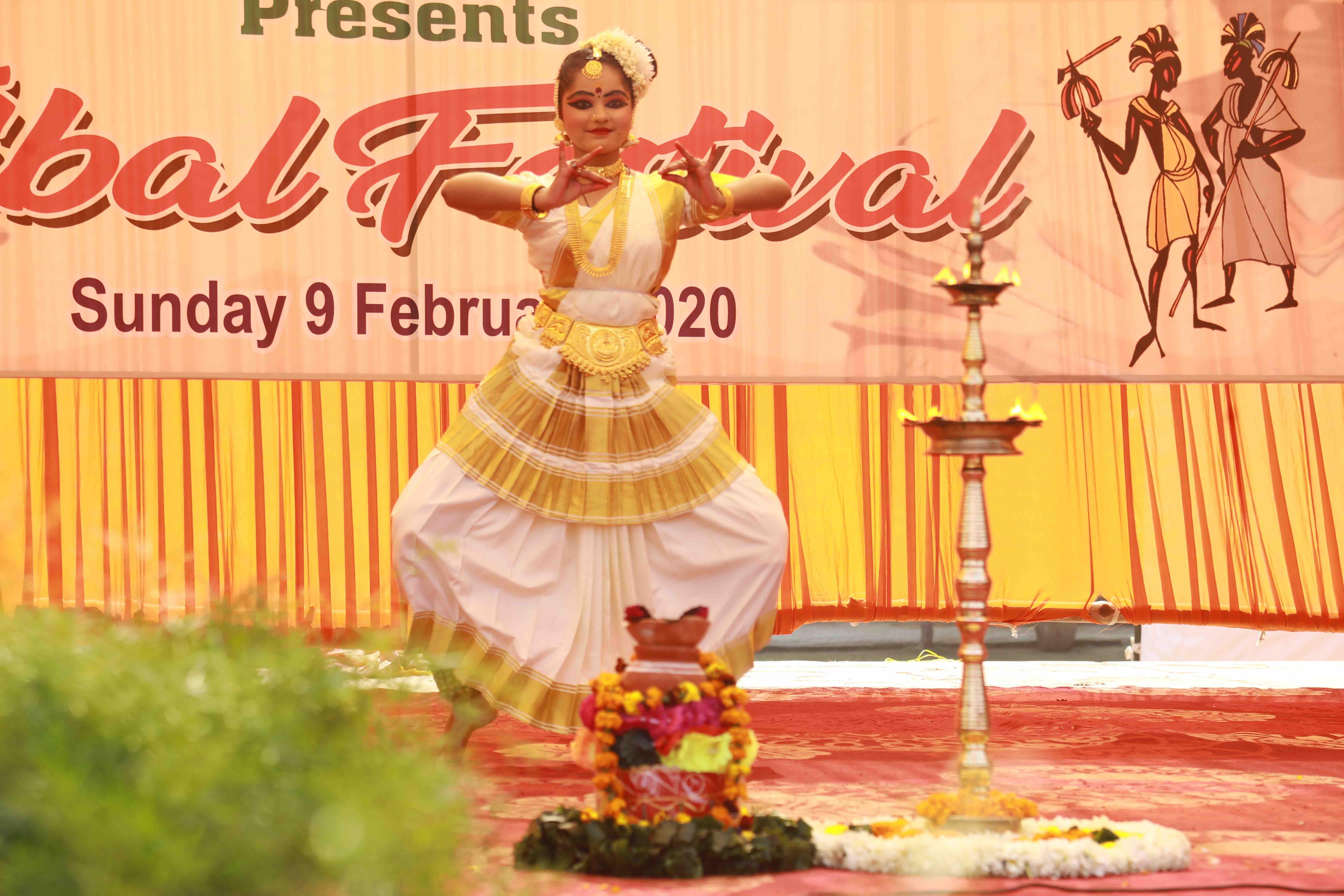 YMCA Institute of Management Studies New Delhi Tribal Festival photo 6