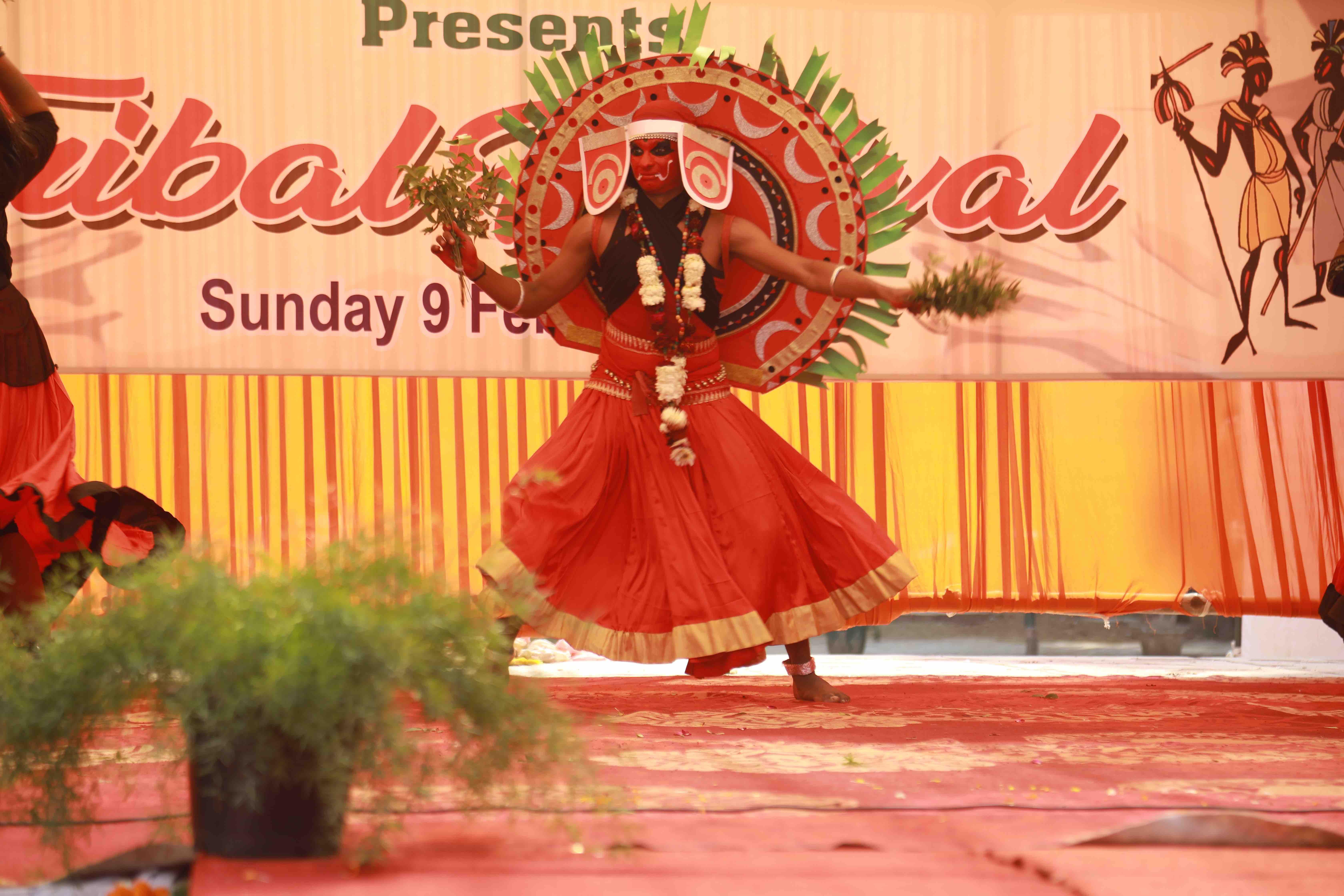 YMCA Institute of Management Studies New Delhi Tribal Festival photo 9