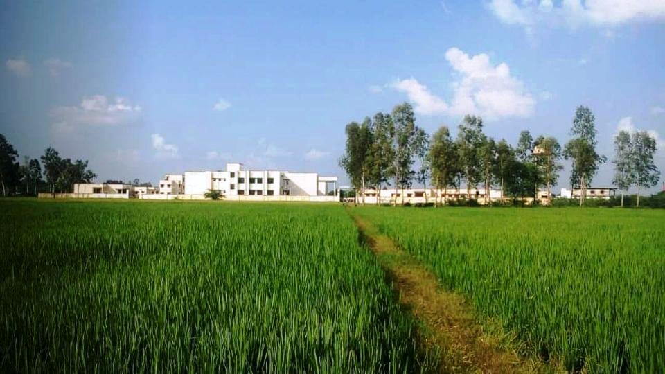 Government Polytechnic Kenaura Sultanpur Campus photo 4