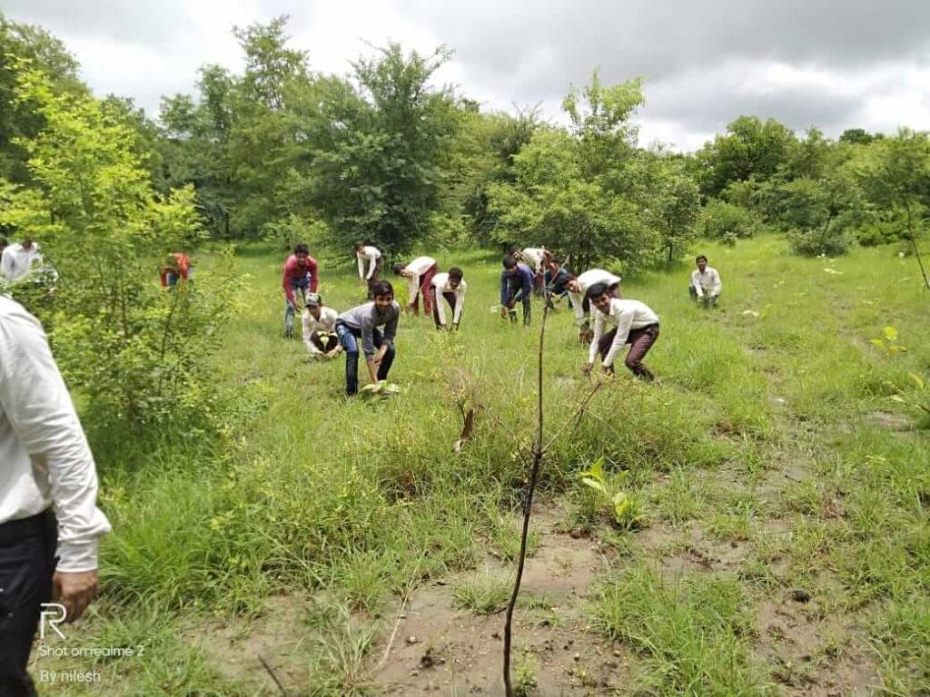 Government Polytechnic Lalitpur Plantation Day Celebration photo 2