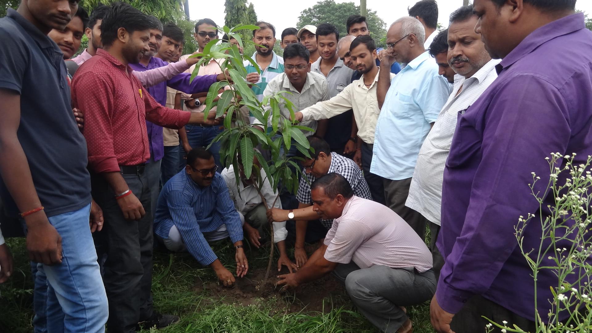Government Polytechnic Barauni Begusarai Plantation Day Celebration photo 2