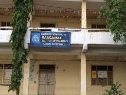 Gangamai College of Pharmacy Naigaon College Ambience photo 3