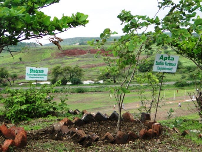 K.T. Patil College of Pharmacy Osmanabad Campus photo 13